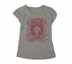 CKS T-Shirt Banda grey