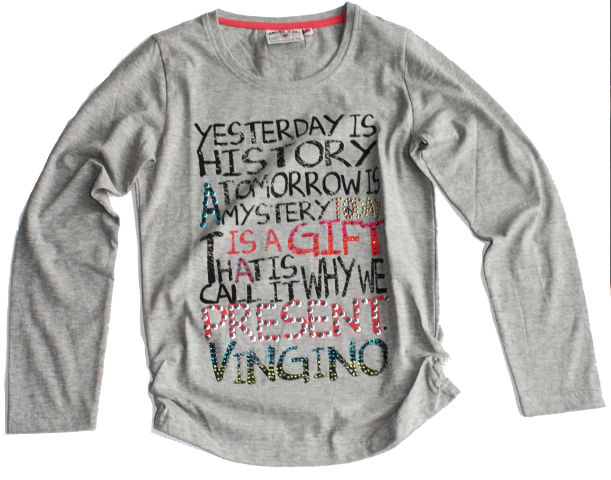 Vingino Langarm-Shirt/Longsleeve JANETTE grey Vingino Langarm-Shirt/Longsleeve JANETTE grey