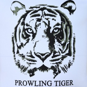 Blue Effect Mädchen Langarm-Shirt/Longsleeve TIGER weiß