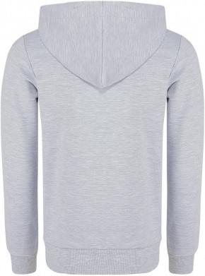 Blue Effect Jungen Kapuzen-Sweat-Jacke hellgrau melange