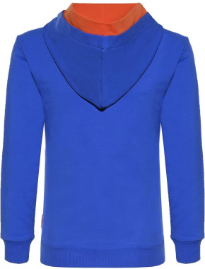 Blue Effect Jungen Kapuzen-Sweat-Shirt/Hoodie Sporty kobalt 164