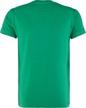 Blue Effect T-Shirt LIVING A DREAM gritzegrün