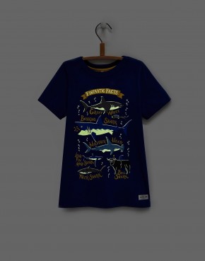 Joules Jungen T-Shirt RAY shark 110