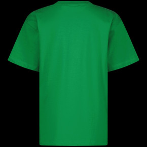 Vingino T-Shirt HARAKU rolling hills