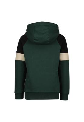Vingino Kapuzen-Sweat-Shirt / Hoodie NABO courtyard green