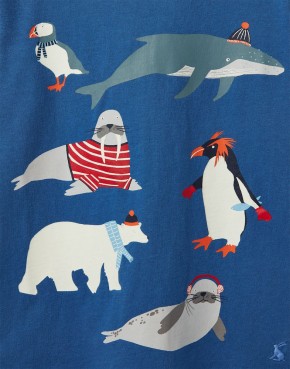 Joules Jungen Langarm-Shirt/Longsleeve RAYMOND blue